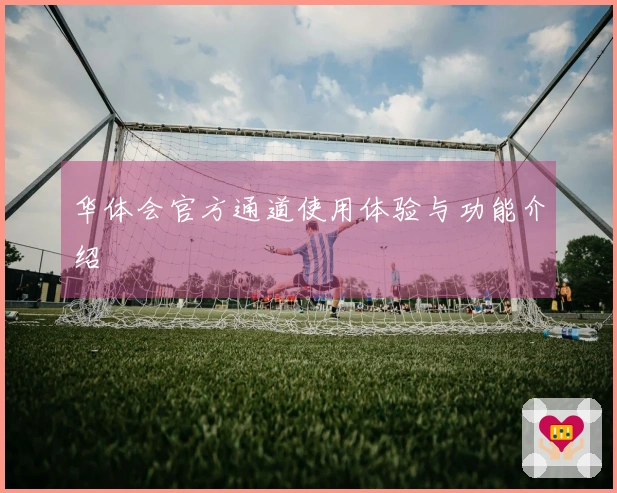 华体会官方通道使用体验与功能介绍